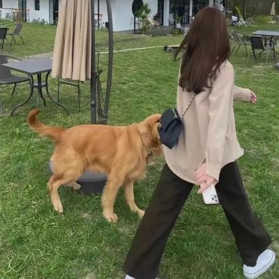 卡萨布兰卡